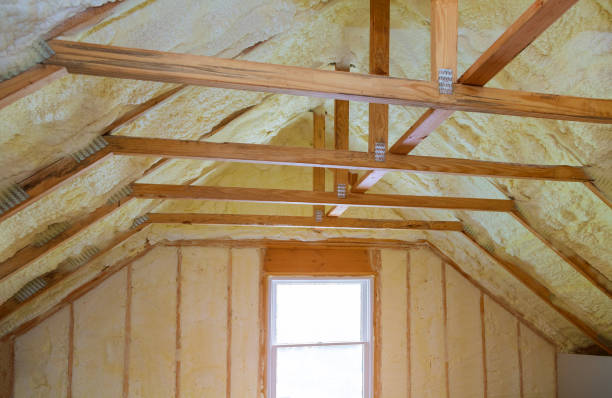 Insulation Inspection Services in Pleasant Hill, MS