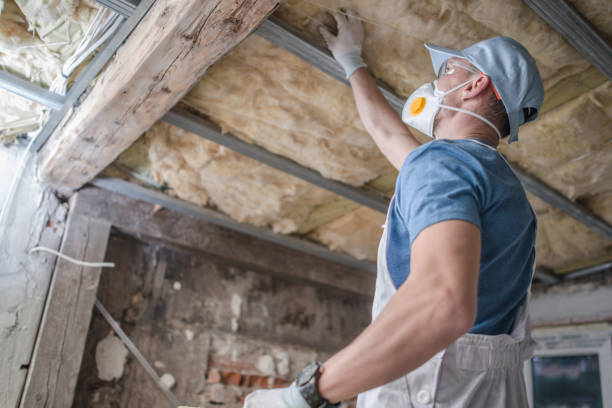 Attic Insulation Near Me in Pleasant Hill, MS